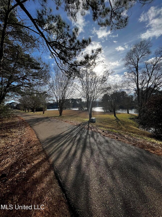 0 Cedar Ridge Rd, McComb, MS 39648 - photo 4