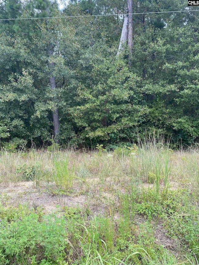 5445 Dubose Siding Rd, Sumter, SC 29153 - photo 3