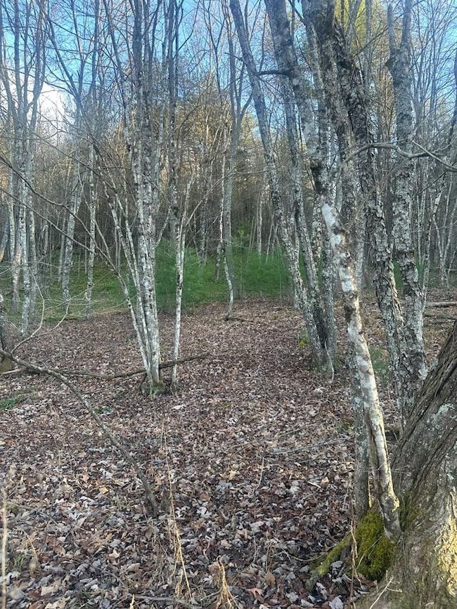 TBD Little Creek Hwy, Dublin, VA 24084 - photo 7