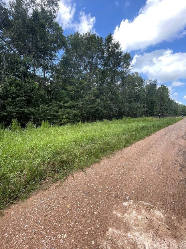 0 Bentley unit 41350372, Hockley, TX 77447 - photo 3