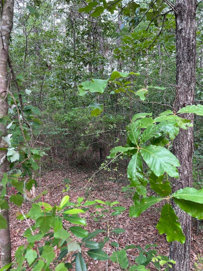 pic 2 - Lot 16 Bent Creek