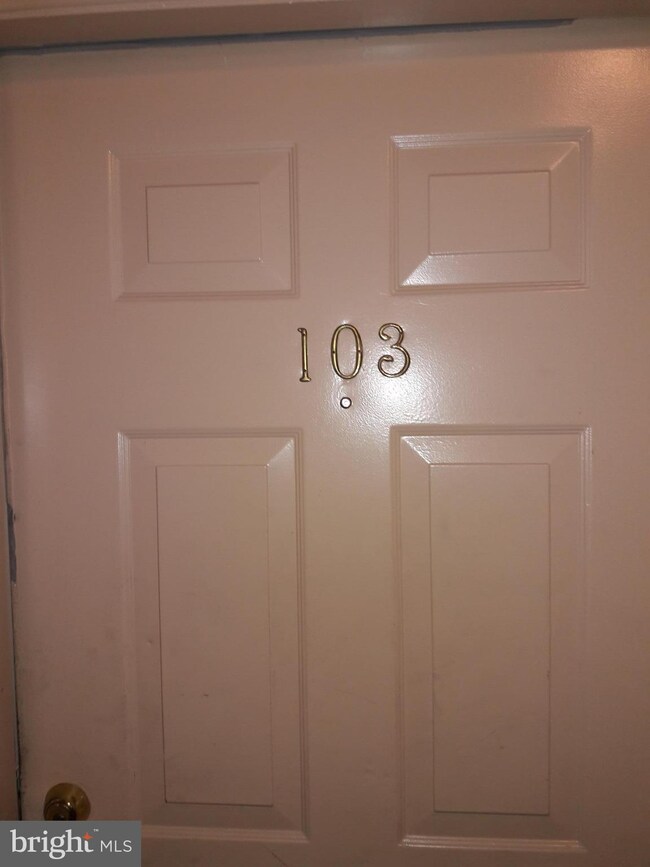 2061 Alice Ave unit 103, Oxon Hill, MD 20745 - photo 3