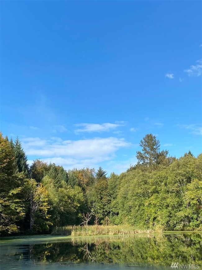 23310 148th Avenue Ct E, Orting, WA 98360 - photo 3