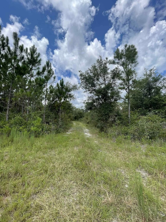 xx Otter Creek Rd, Sopchoppy, FL 32358 - photo 4