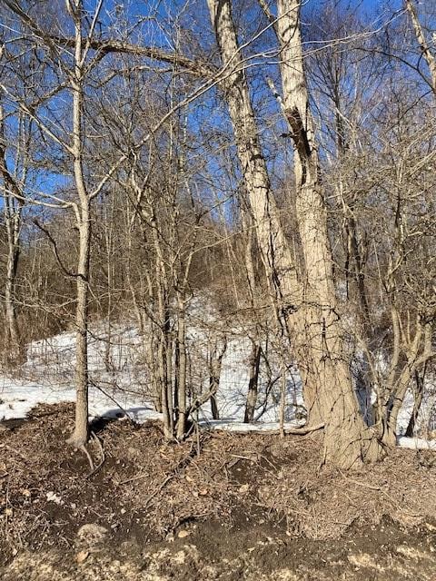 - Stony Fork Creek Rd, Wellsboro, PA 16901 - photo 5