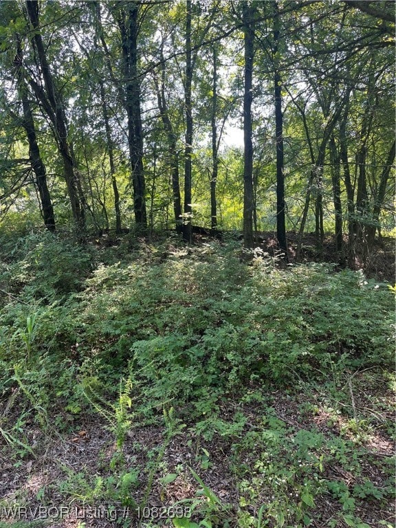 TBD E 233rd St S, Webbers Falls, OK 74470 - photo 6