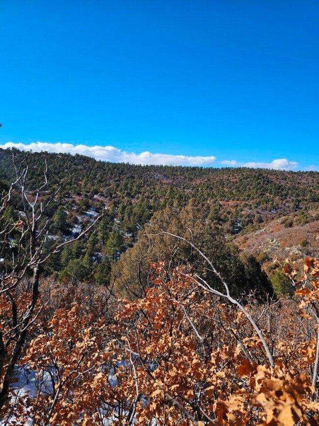 0 Elk Park Rd unit C44 24-408, Trinidad, CO 81082 - photo 2