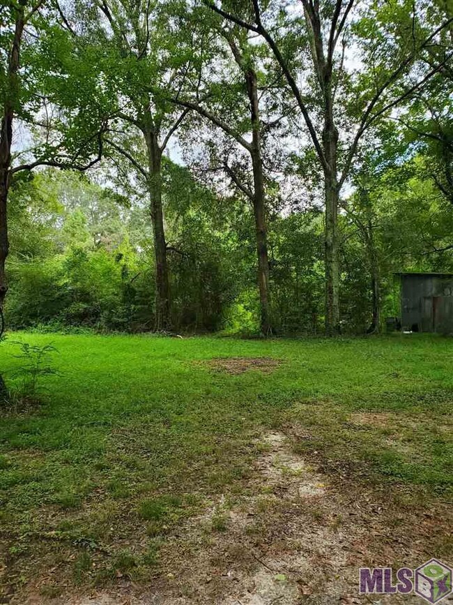 31460 La Hwy 16, Denham Springs, LA 70726 - photo 2