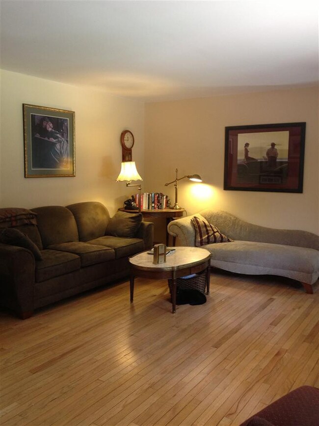 668 Washington St, Chelsea, MI 48118 - photo 4