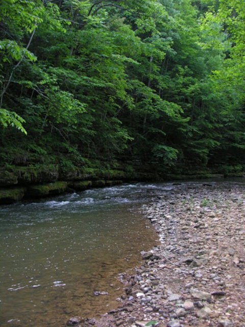 100 AC Tommy Dodson Hwy, Rickman, TN 38506 - photo 6