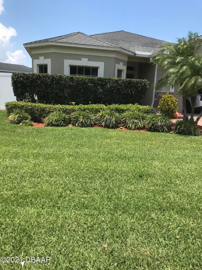 BEAUTIFUL LAWN
