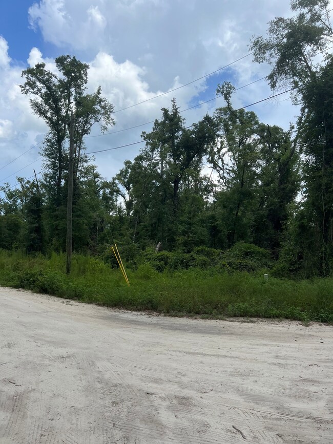 177th Road, Live Oak, FL 32060 - photo 6
