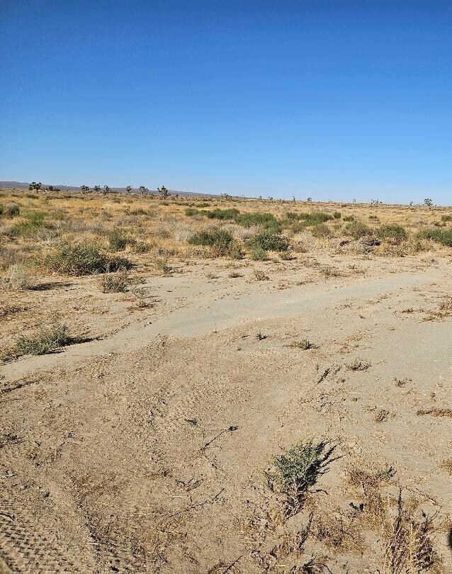 looking East