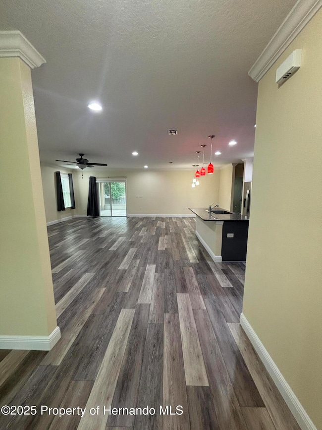 1159 Macfarlane Ave, Spring Hill, FL 34608 - photo 4