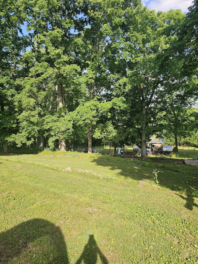 Part of Backyard