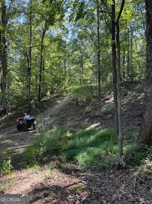 0 Turkey Ct unit LOT 42 & 46, Waco, GA 30182 - photo 5