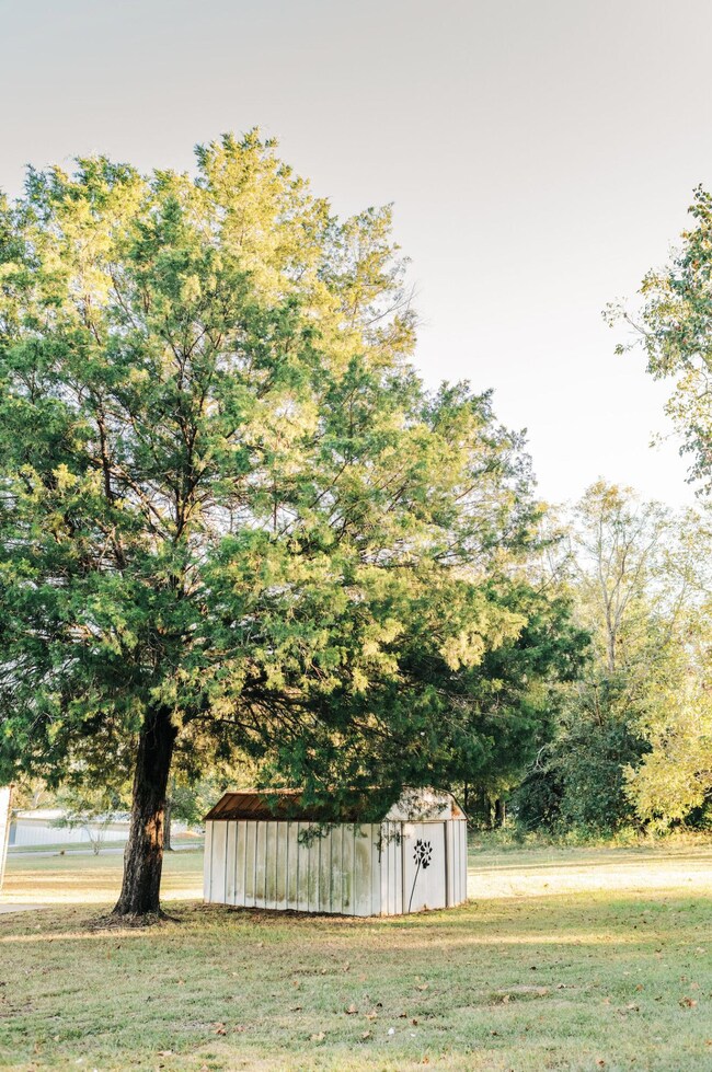 23186 Dewight Stone Ave, Florala, AL 36442 - photo 5