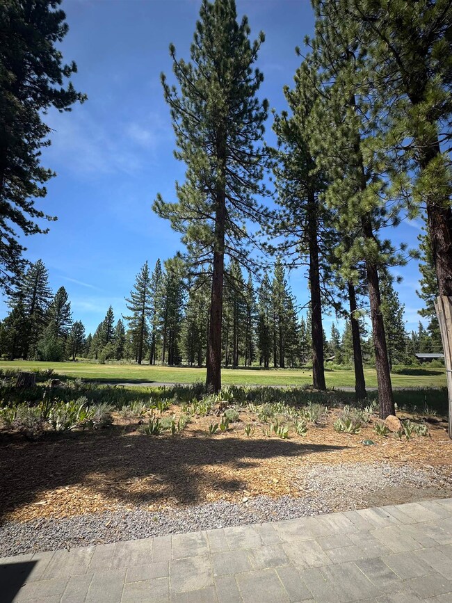 10277 Modane Place unit 313, Truckee, CA 96161 - photo 2