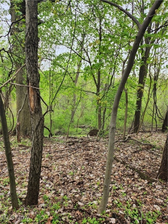 0 Stonebridge Dr, Amherst, OH 44001 - photo 2