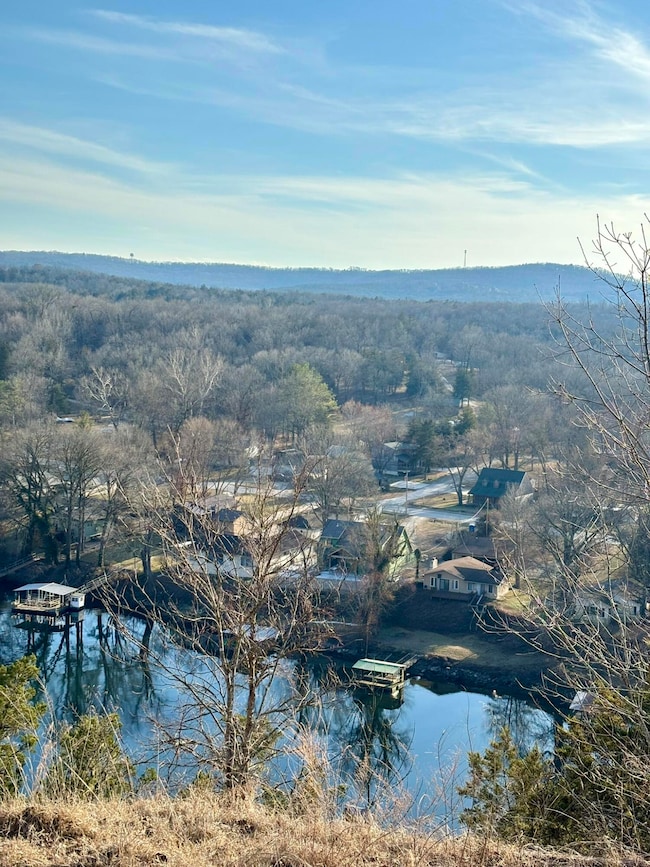 3855 Fall Creek Rd, Branson, MO 65616 - photo 2