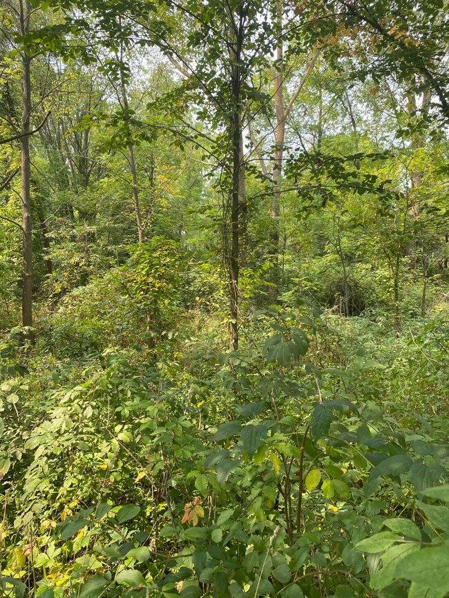 TBD N Mcpherson St, Stanton, MI 48888 - photo 4