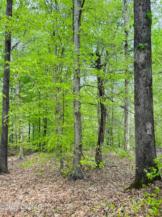 0 Highway 100, Medon, TN 38356 - photo 3