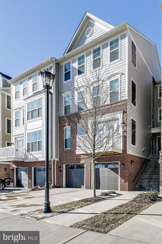 25243 Laureldale Terrace, Chantilly, VA 20152 - photo 2