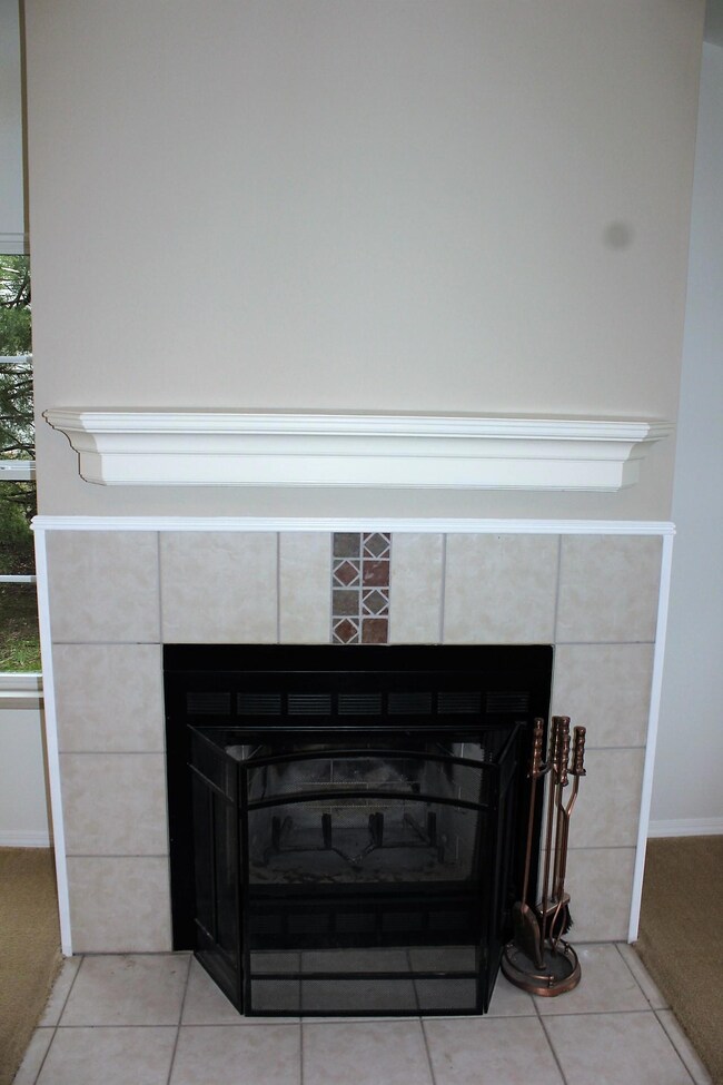 147 Deer Park Cir, Kimberling City, MO 65686 - photo 7