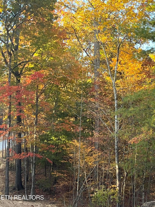 109 Cherokee Path, Tellico Plains, TN 37385 - photo 3