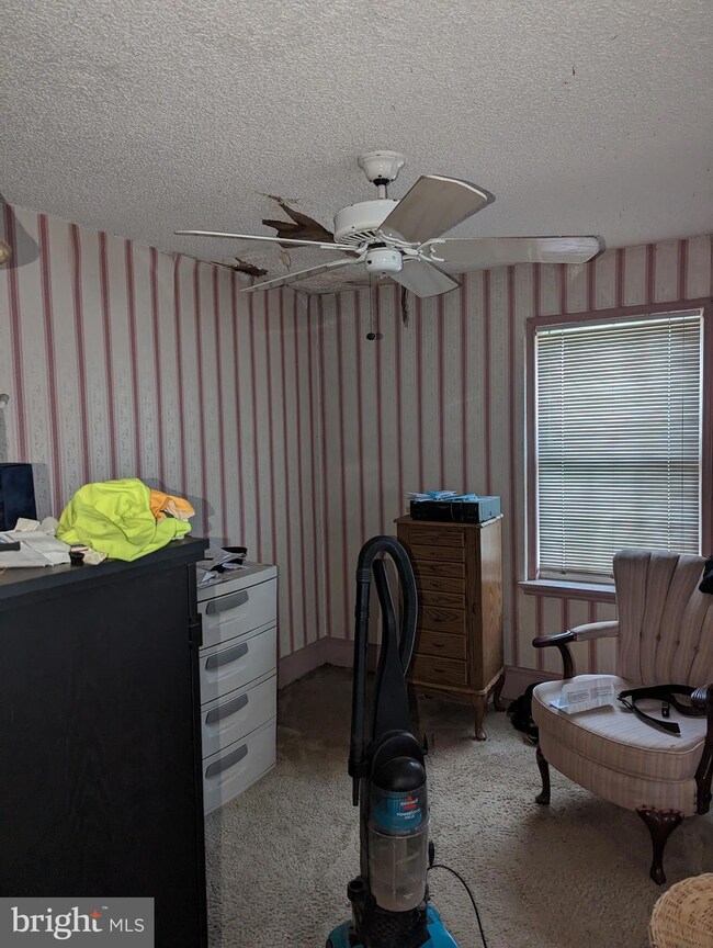 2951 Sumter Rd, Camden, NJ 08104 - photo 7