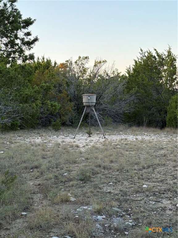 0 County Road 2773, Lometa, TX 76853 - photo 5