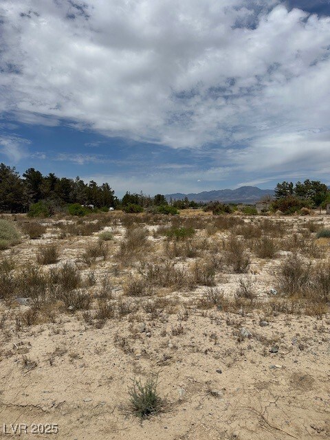 3080 E Kellogg Rd, Pahrump, NV 89061 - photo 6