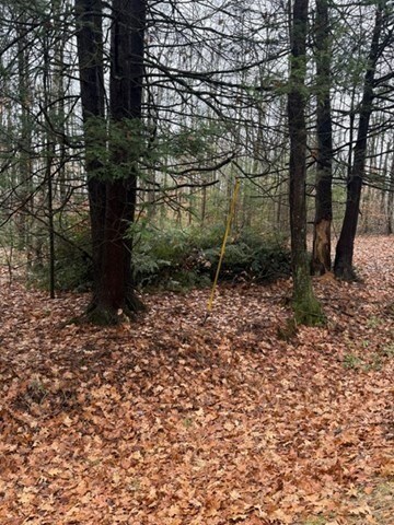 0 Wendell Depot Rd, Wendell, MA 01379 - photo 7