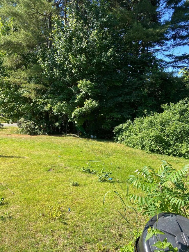 Farview Back