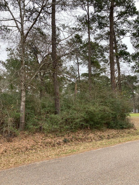 0 Lazy Hollow Ln, Hockley, TX 77447 - photo 5