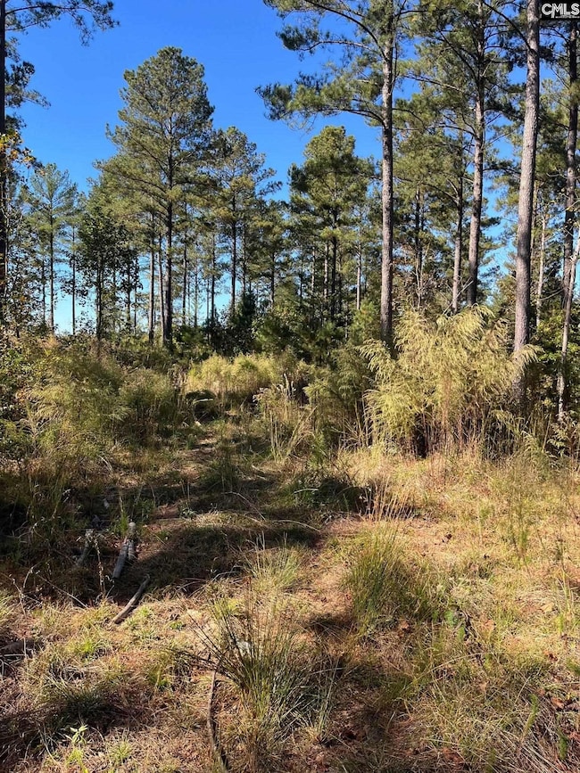 DRF 2 Dawkins Rd unit DRF 2, Pacolet, SC 29372 - photo 6