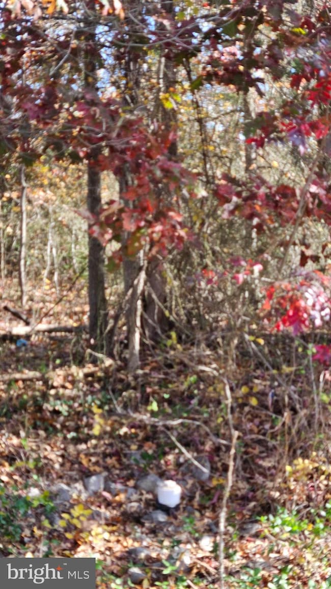 309 Cattail Passage Ct, Severna Park, MD 21146 - photo 7