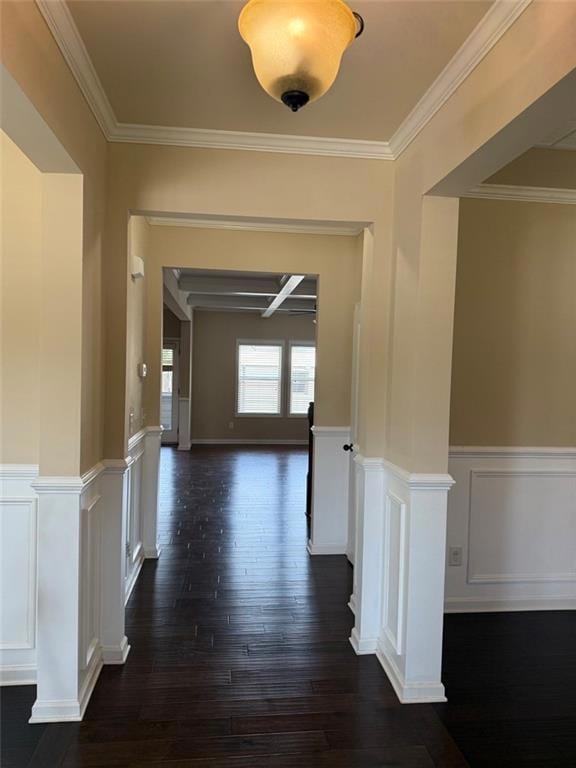 Hallway featuring ornamental molding, wainscoting, dark wood-style floors, and a decorative wall