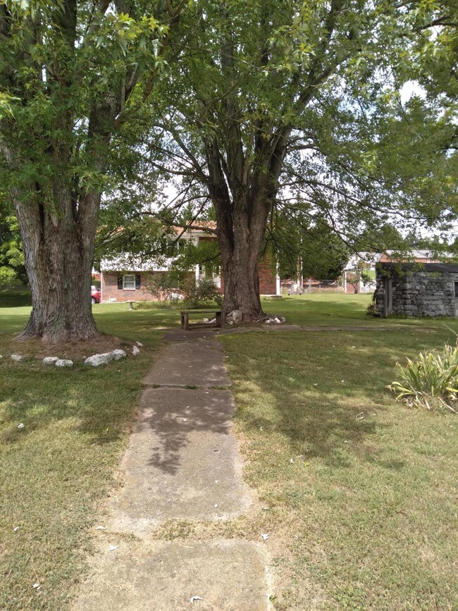 1209 King Springs Rd, Johnson City, TN 37601 - photo 7