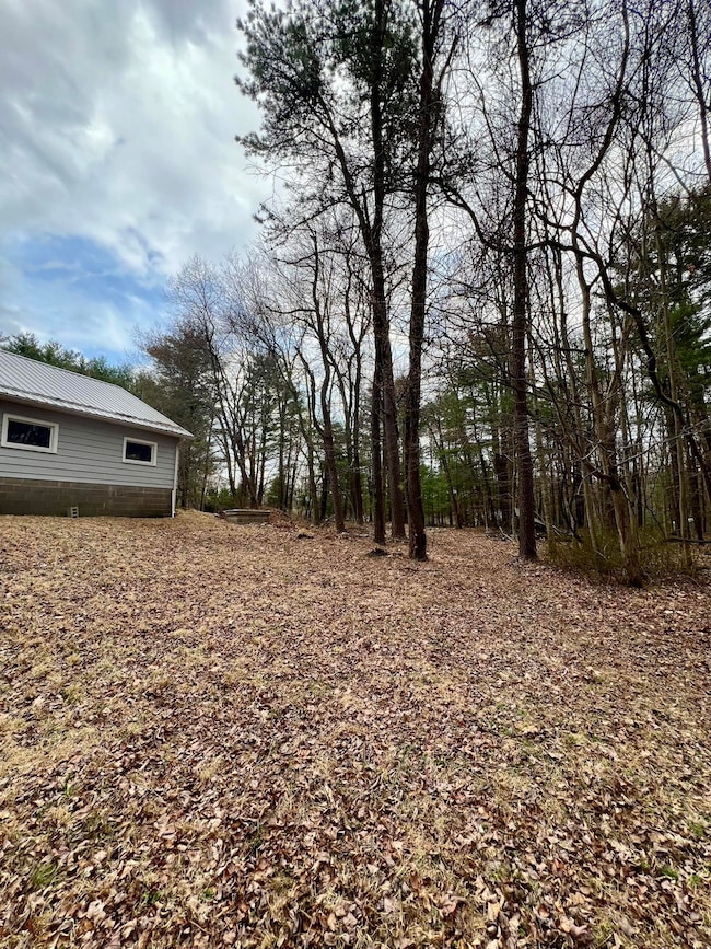 Back yard