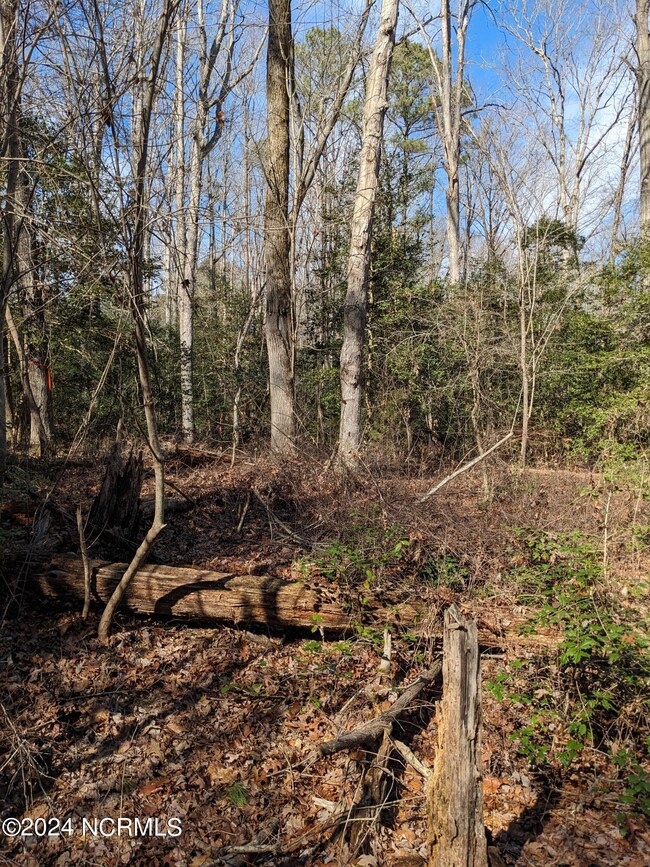 PXL_20240215_173639582