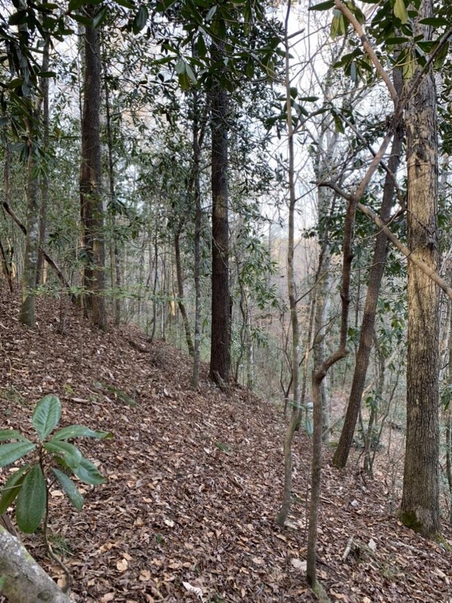 00 Sablefish Ln, Red Level, AL 36474 - photo 6