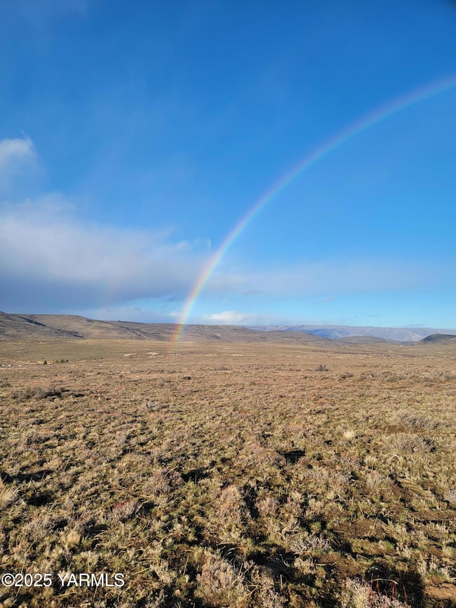 NKA Cowiche Mill Rd, Yakima, WA 98908 - photo 3