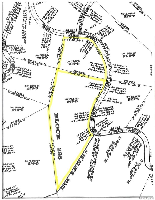 Survey plat enlarged