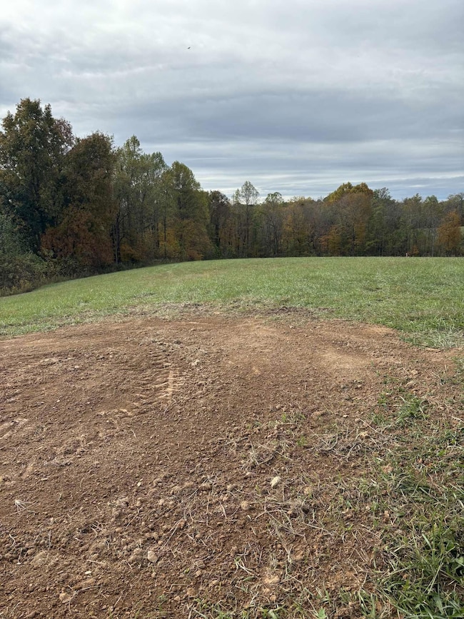 Pine Grove Ch Rd, Vanceburg, KY 41179 - photo 4