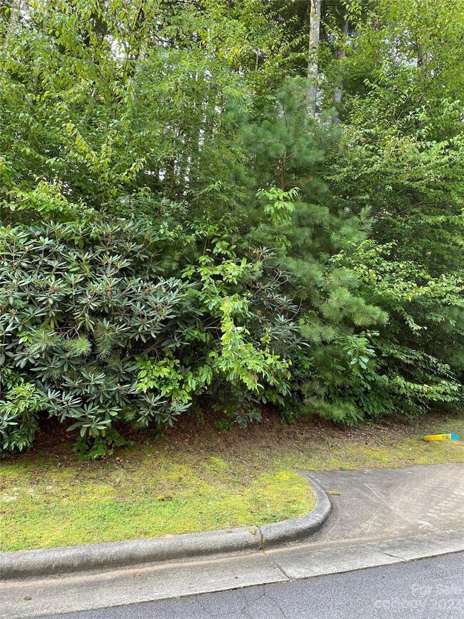 V48&49 Camptown Rd unit V48&49, Brevard, NC 28712 - photo 4