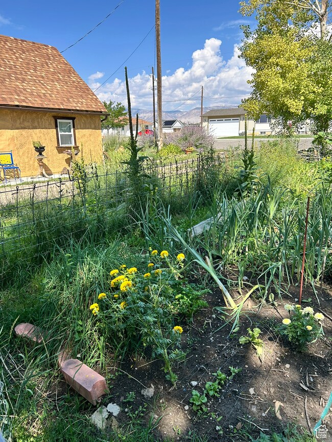 445 W 200 N, Castle Dale, UT 84513 - photo 7