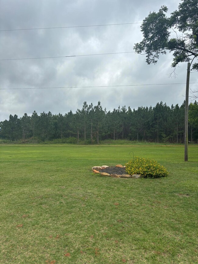 2023 Gamble School Rd, Stapleton, GA 30823 - photo 5