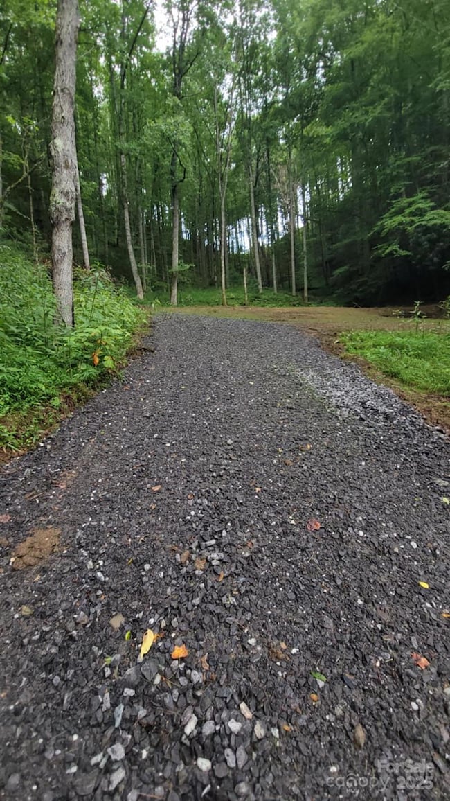 295 Bennett Branch Rd, Green Mountain, NC 28740 - photo 3