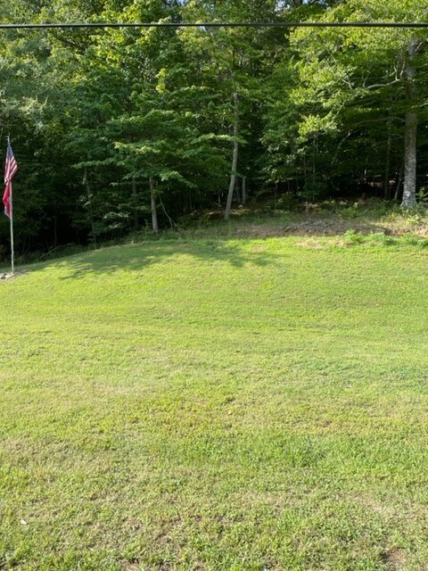 2050 Limekiln Rd, Tennessee Ridge, TN 37178 - photo 7